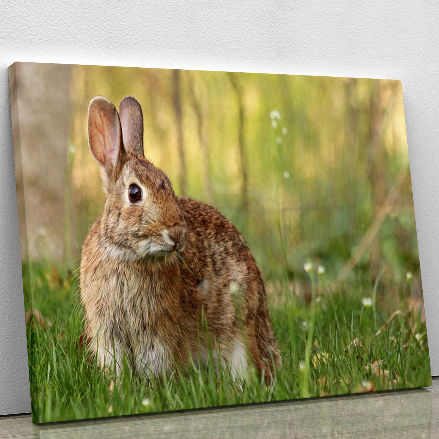 A beautiful canvas print featuring a brown rabbit looking directly into the camera, showcasing its expressive eyes and soft fur.