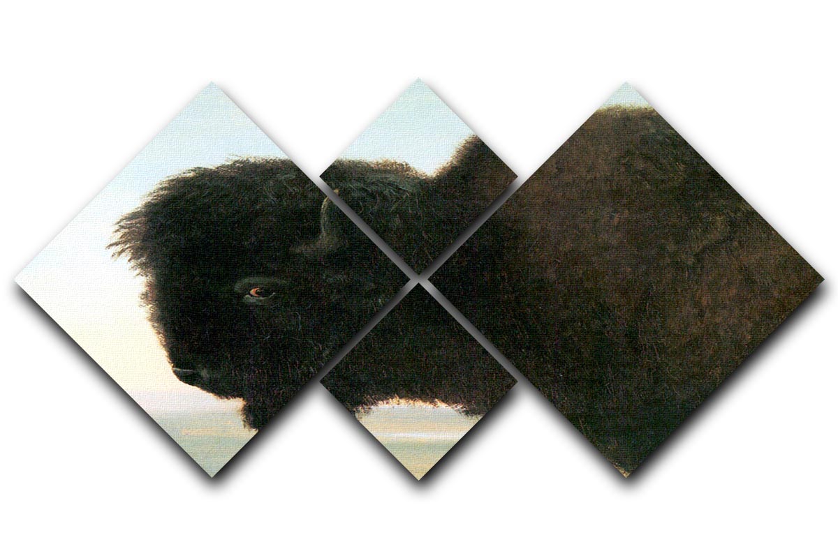 Buffalo Head by Bierstadt 4 Square Multi Panel Canvas artwork featuring a majestic buffalo in four equal sections, showcasing vibrant colors and intricate details.