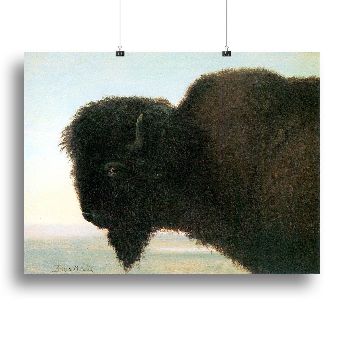 Buffalo Head canvas print showcasing a majestic buffalo in a natural setting, perfect for home decor.