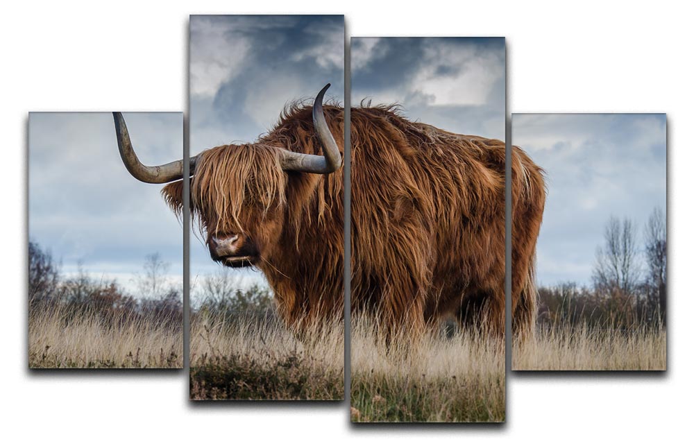 A stunning Bull 4 Split Panel Canvas artwork, featuring four equal sections that create a cohesive and dynamic design when hung together.