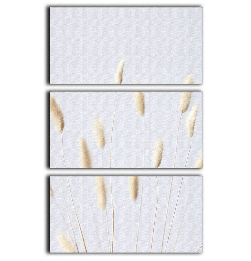 Bunny Grass No 3 3-panel canvas print featuring a beautiful nature scene, perfect for home decor.