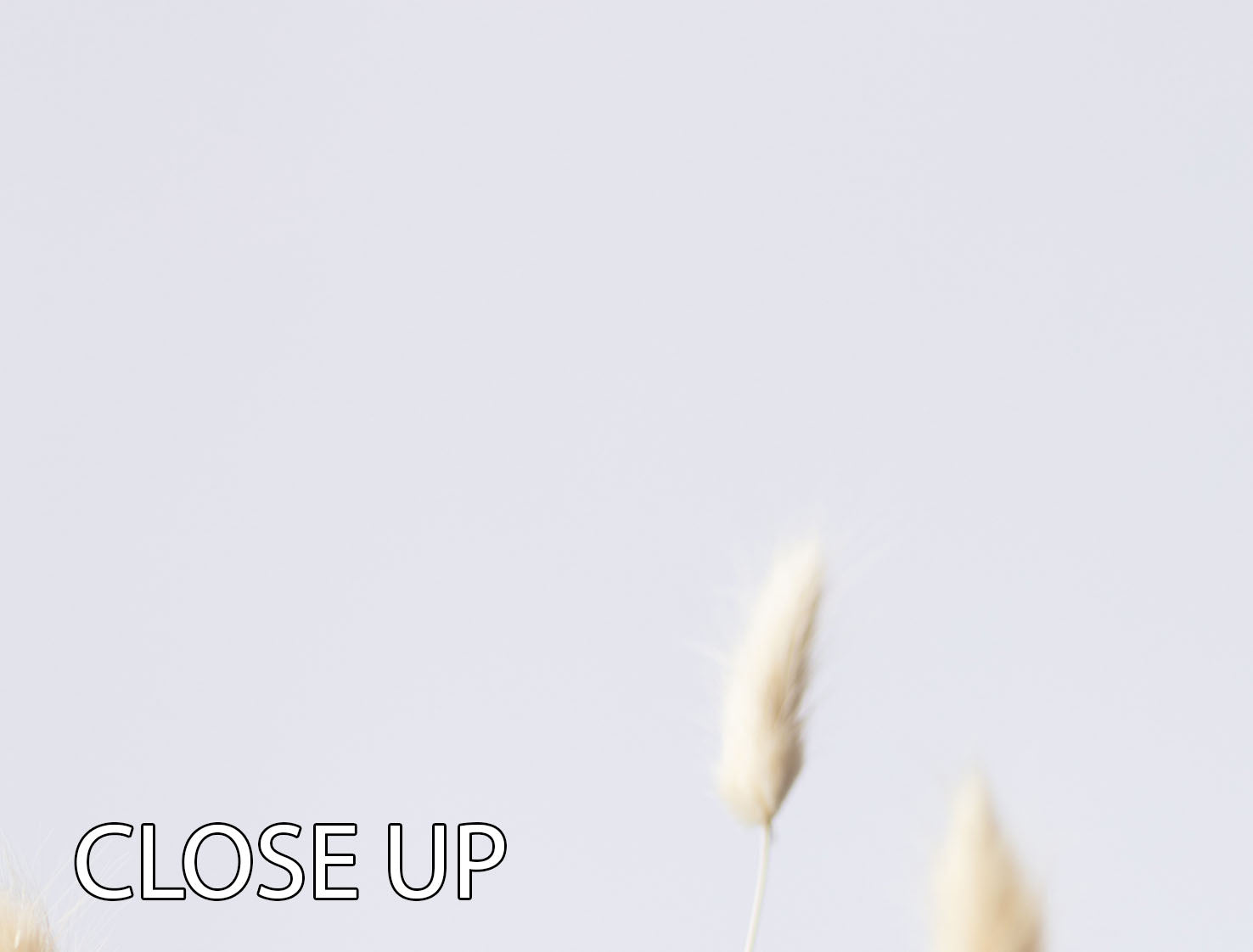 Bunny Grass No 3 3-panel canvas print featuring a beautiful nature scene, perfect for home decor.