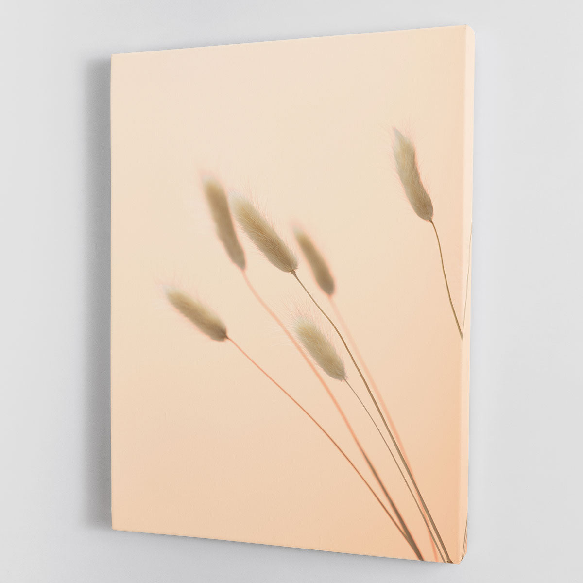 Bunny Grass Peach 03 canvas print featuring vibrant colors and intricate design, perfect for home or office decor.
