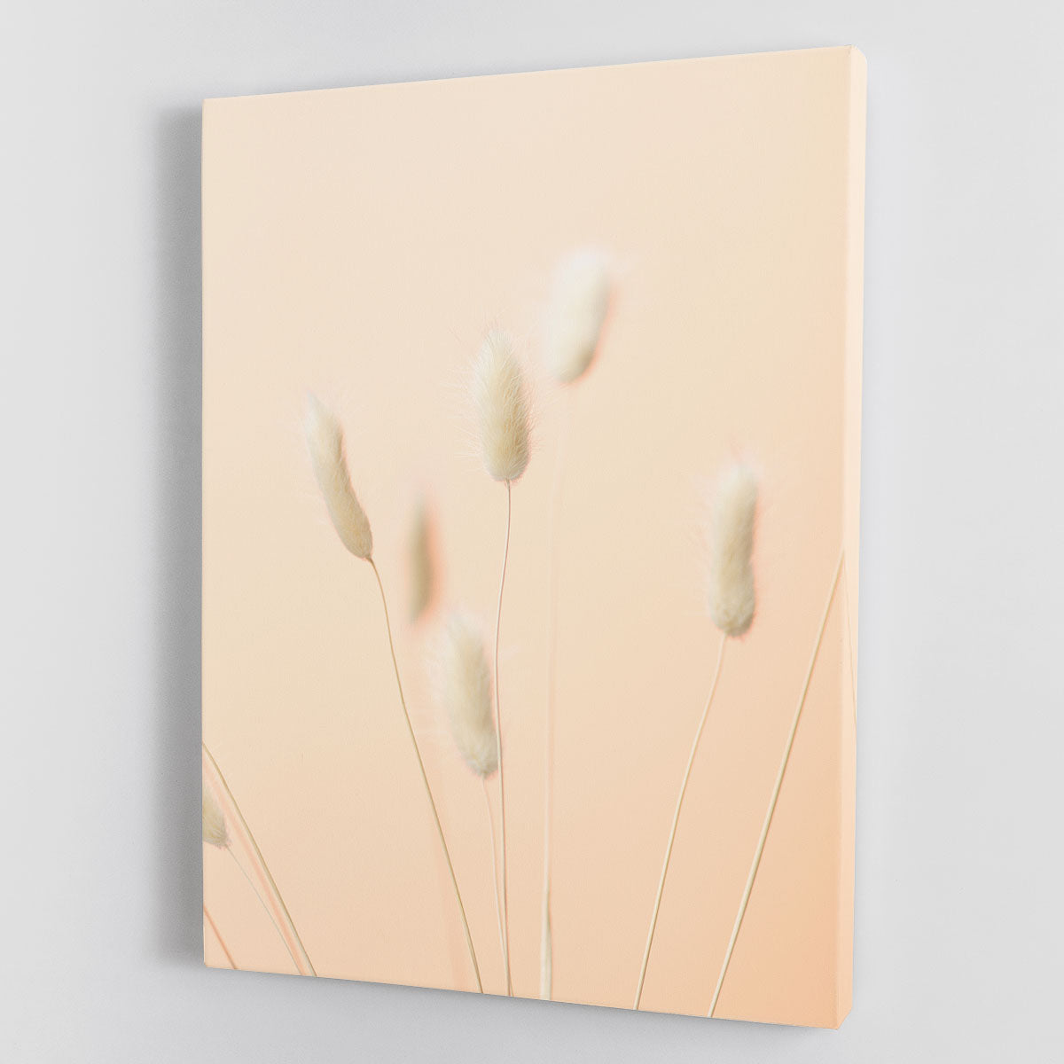 Bunny Grass Peach 06 canvas print showcasing vibrant colors and intricate details, perfect for home or office decor.