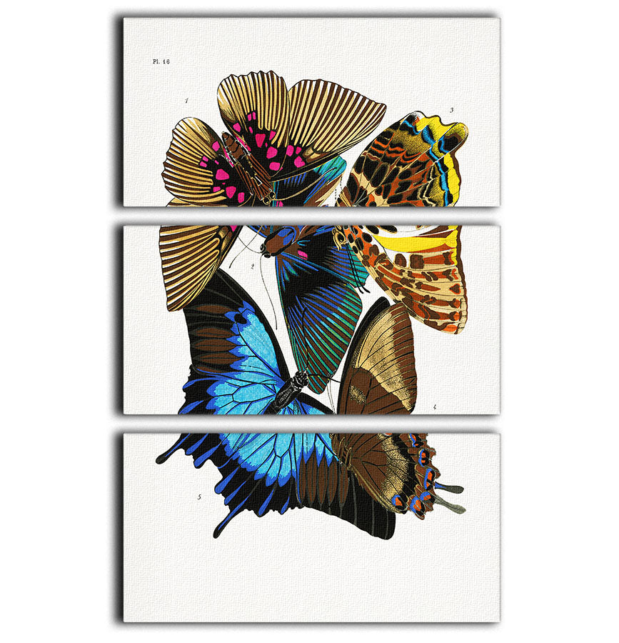Butterflies Part 16 3 Split Panel Canvas Print featuring vibrant butterfly designs on three canvases, perfect for home decor.