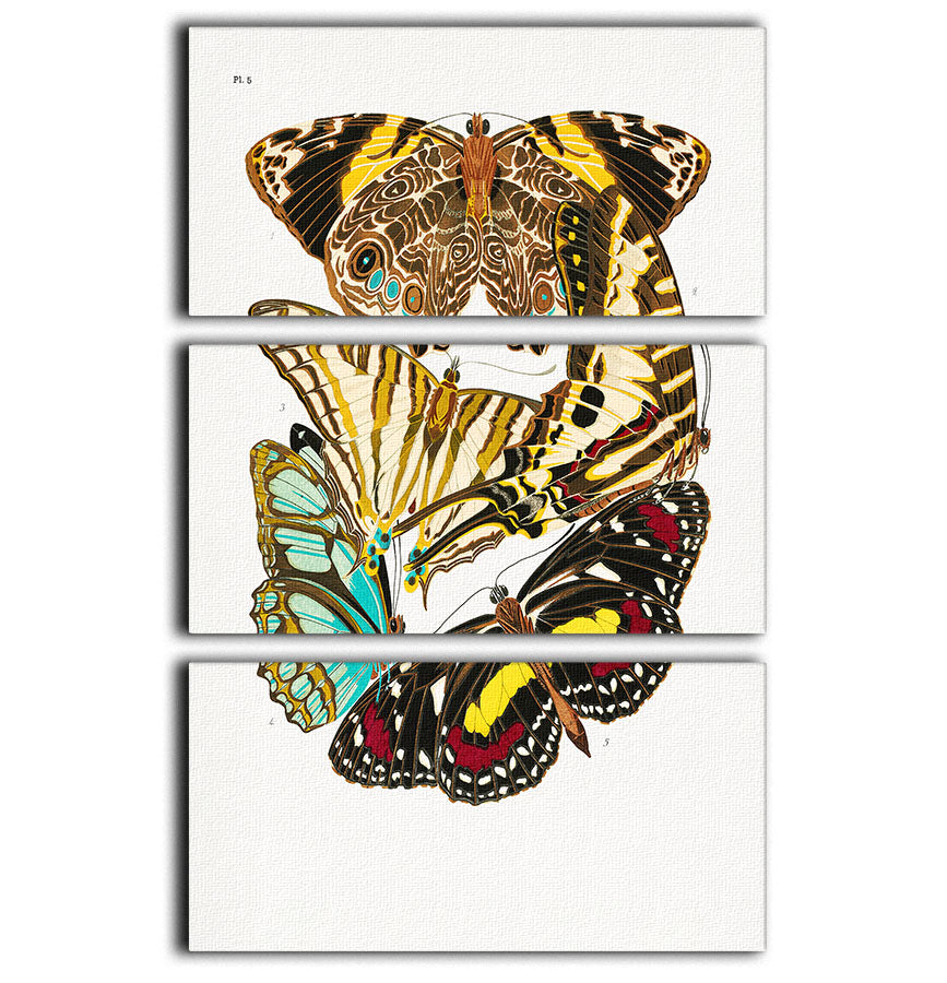 Butterflies Part 5 3 Split Panel Canvas Print showcasing vibrant butterfly designs on three separate canvases.