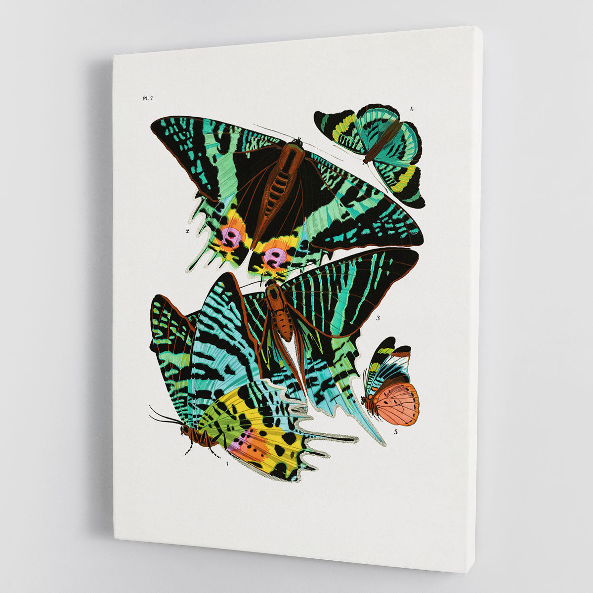 Butterflies Part 7 canvas print featuring vibrant colors and intricate butterfly designs, perfect for home decor.