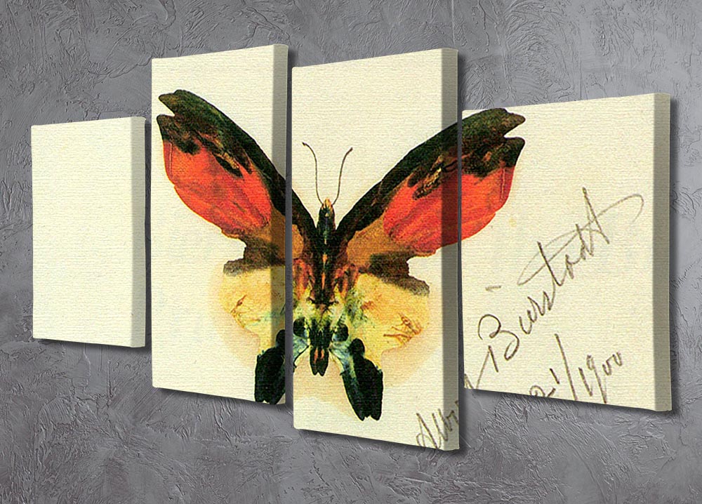Butterfly 2 by Bierstadt 4 Split Panel Canvas featuring vibrant colors and intricate butterfly design across four panels.