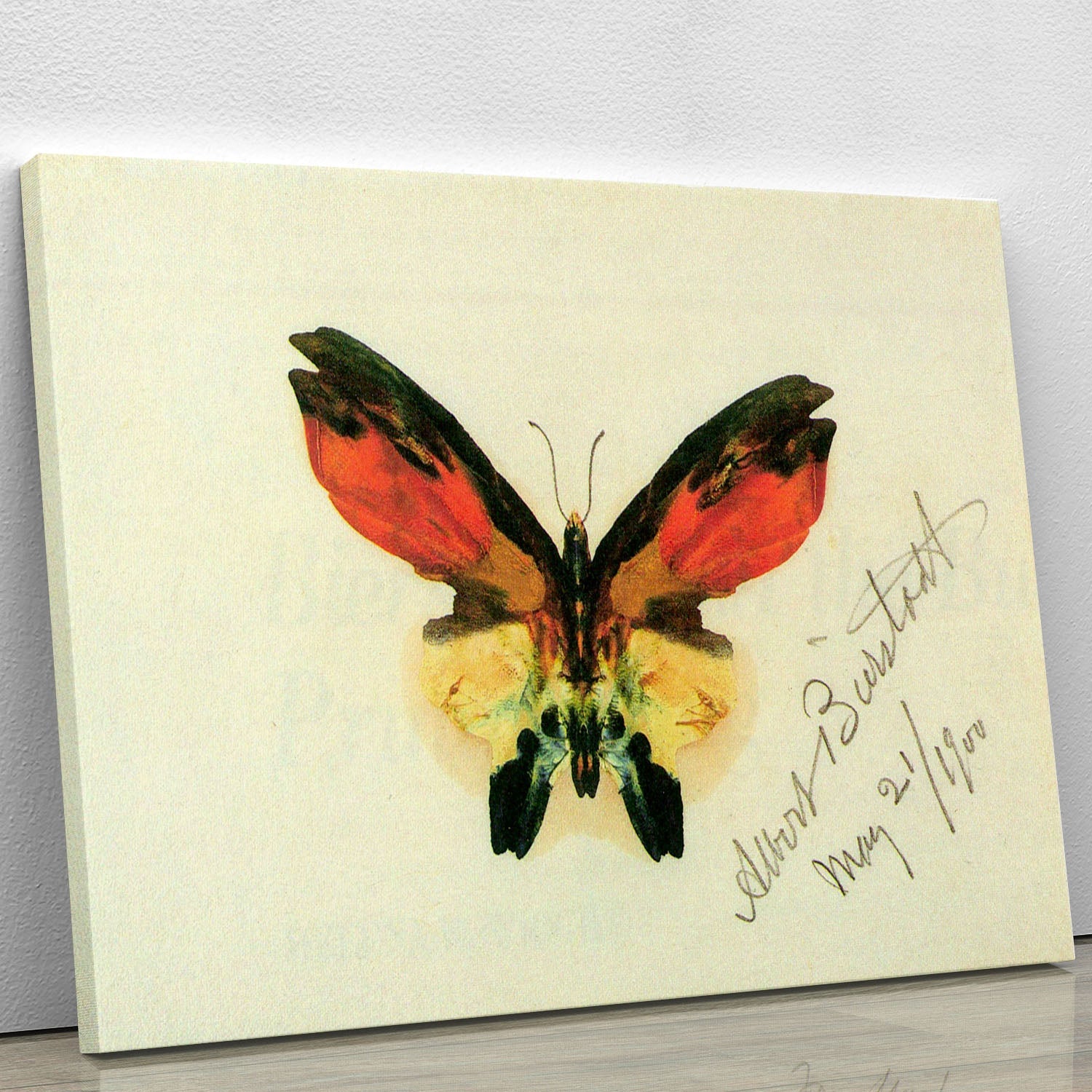 Butterfly 2 by Bierstadt canvas print showcasing vibrant colors and intricate details of butterflies, perfect for home decor.