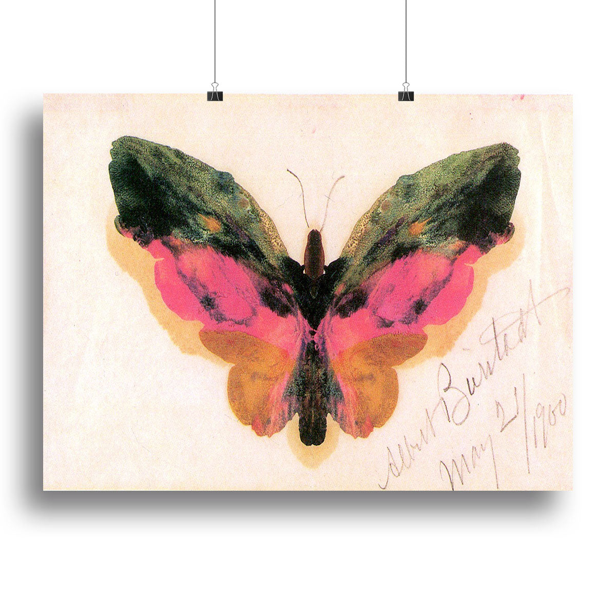 Butterfly by Bierstadt canvas print showcasing vibrant colors and intricate details, perfect for home decor.