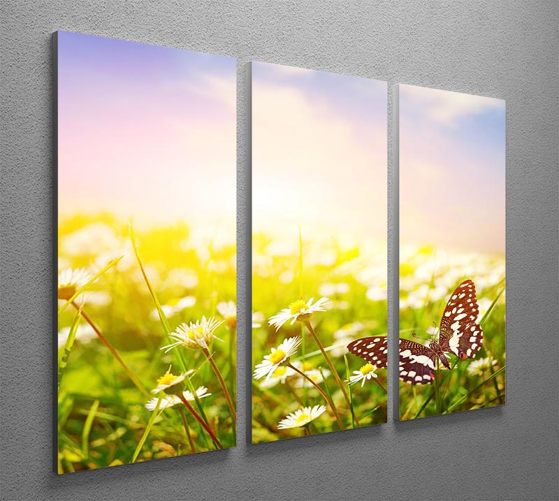 A beautiful 3-panel canvas print featuring a butterfly on a vibrant daisy field, showcasing nature's elegance.