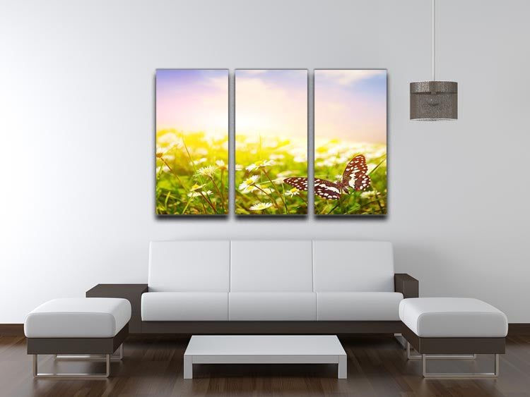 A beautiful 3-panel canvas print featuring a butterfly on a vibrant daisy field, showcasing nature's elegance.