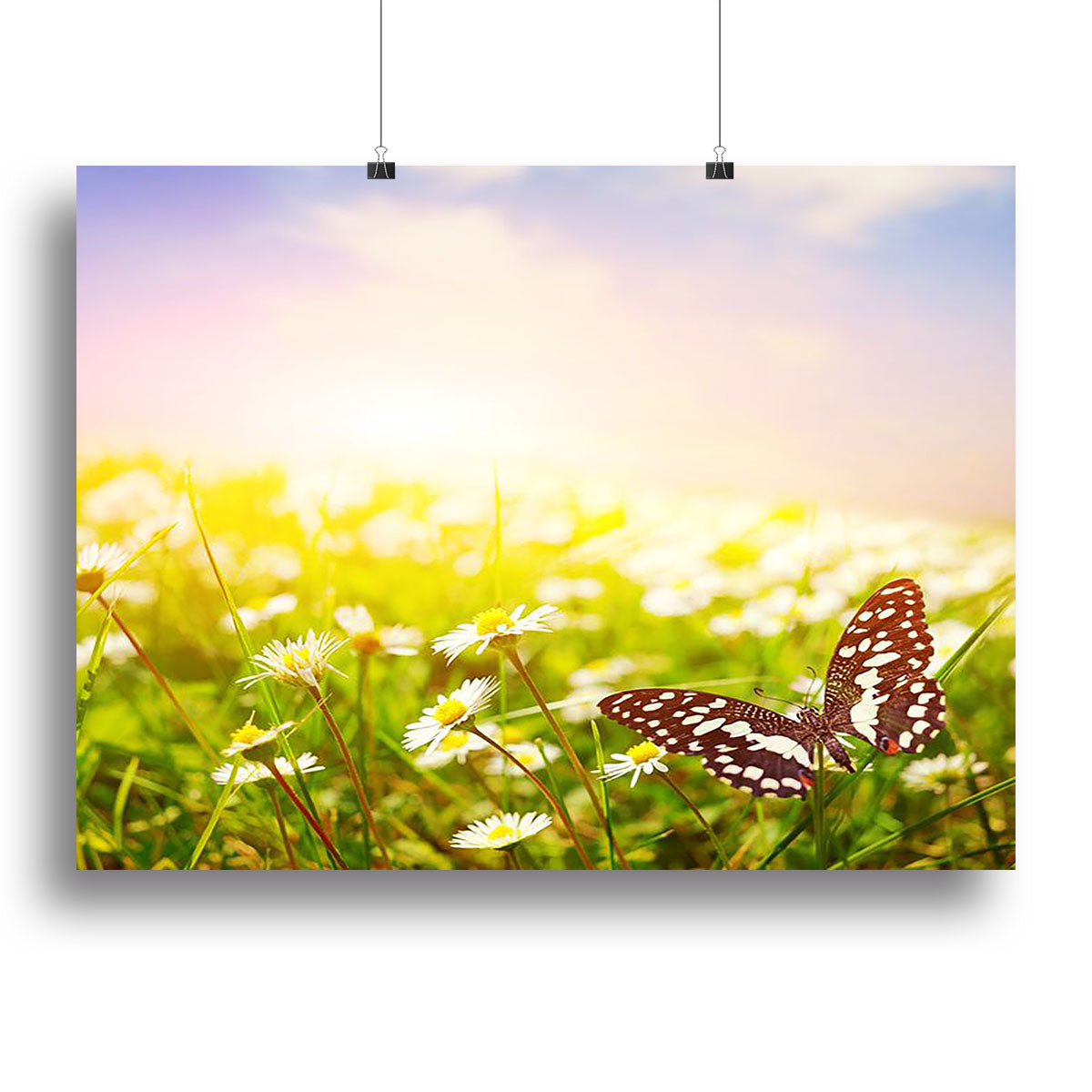 A vibrant canvas print featuring a butterfly resting on a field of daisies, showcasing nature's beauty and elegance.