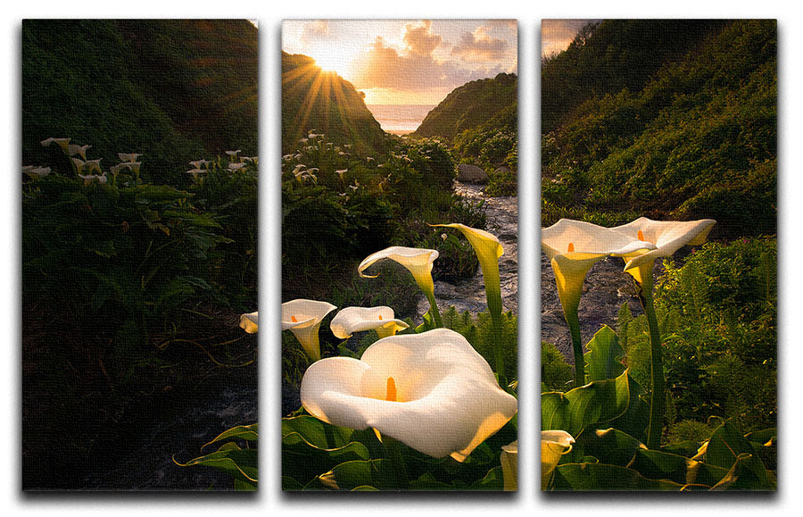A beautiful 3-panel canvas print featuring Calla Lilies, showcasing vibrant colors and elegant design, perfect for home decor.