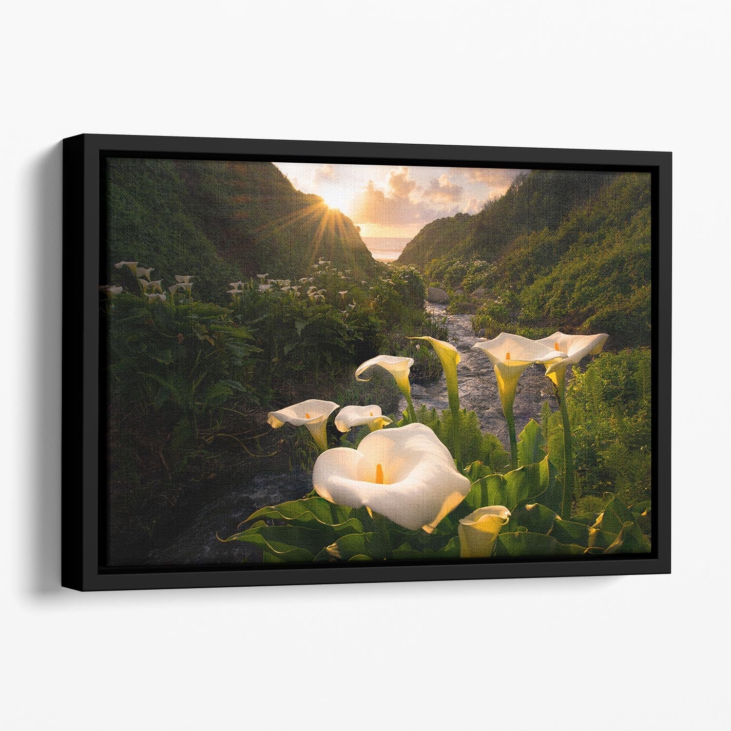 Calla Lily World Floating Framed Canvas featuring vibrant colors and an elegant floating frame design.