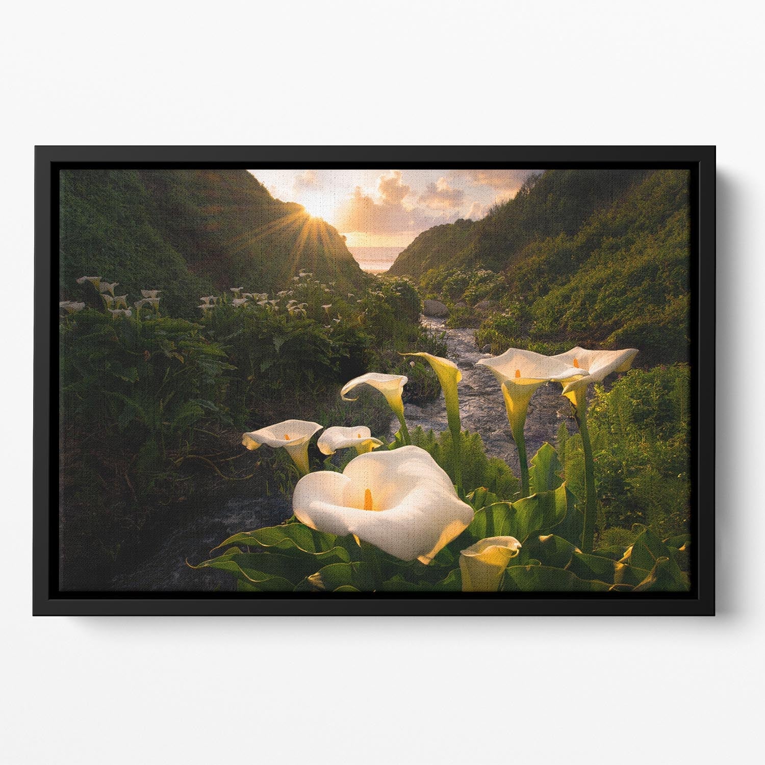 Calla Lily World Floating Framed Canvas featuring vibrant colors and an elegant floating frame design.