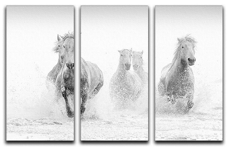 A beautiful 3-panel canvas print featuring Camargue horses running gracefully across a vibrant landscape, perfect for home decor.
