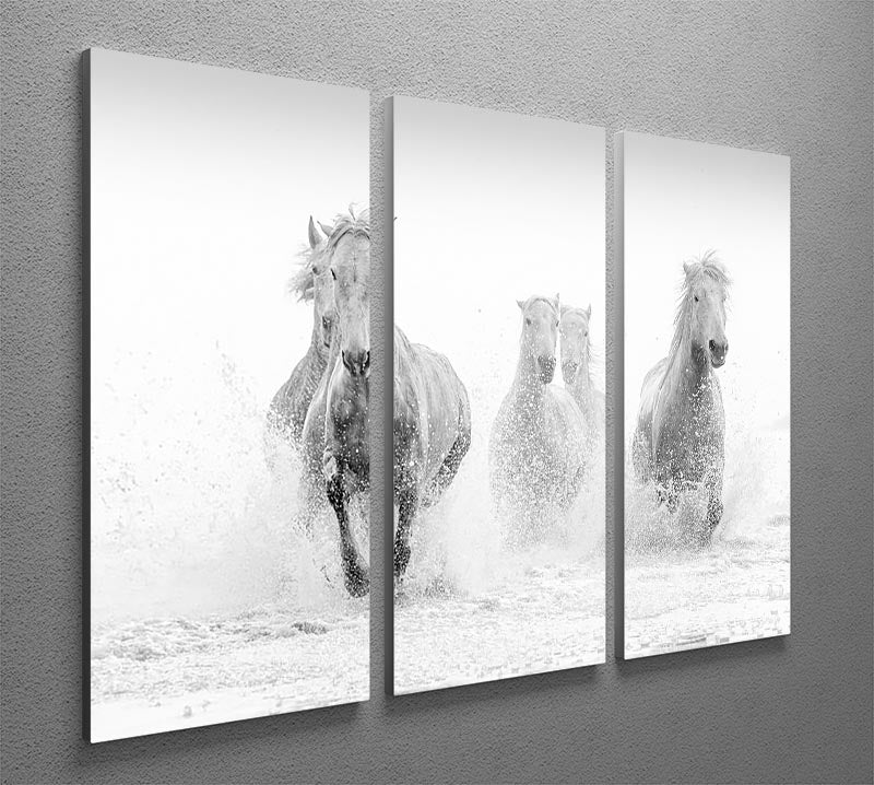 A beautiful 3-panel canvas print featuring Camargue horses running gracefully across a vibrant landscape, perfect for home decor.
