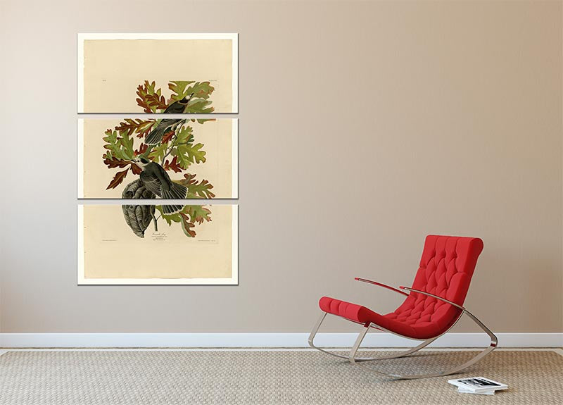 A beautiful 3-panel canvas print featuring the Canada Jay, showcasing vibrant colors and intricate details, perfect for home decor.