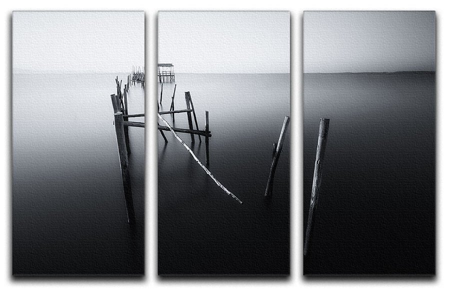 Carrasqueira In Black And White 3 Split Panel Canvas Print showcasing elegant black and white design across three panels.