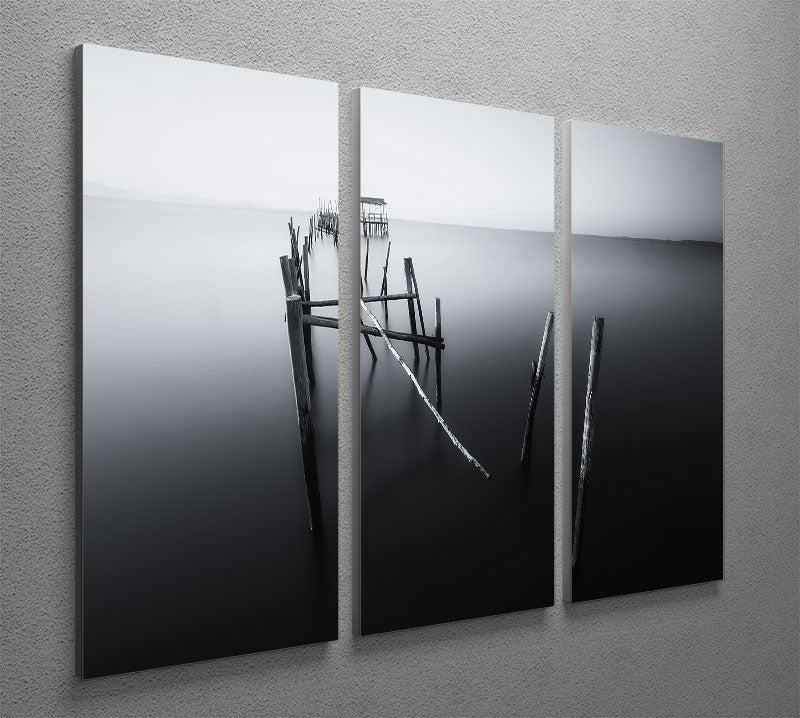 Carrasqueira In Black And White 3 Split Panel Canvas Print showcasing elegant black and white design across three panels.