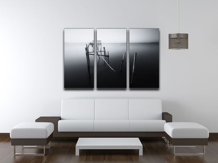 Carrasqueira In Black And White 3 Split Panel Canvas Print showcasing elegant black and white design across three panels.