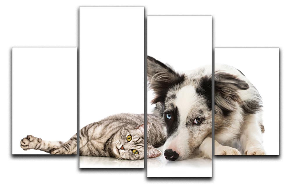 A vibrant 4-panel canvas artwork featuring cats and dogs, showcasing their playful nature and love.