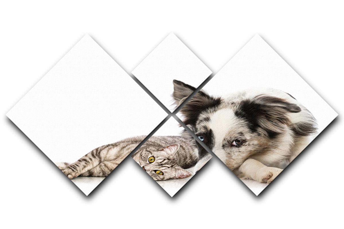 A vibrant 4-square canvas artwork featuring cats and dogs, beautifully arranged to create a harmonious design.