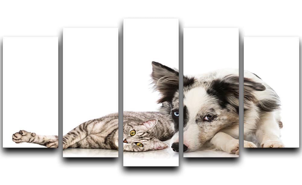 A vibrant 5-split canvas artwork featuring playful cats and dogs, showcasing their bond in a dynamic arrangement.