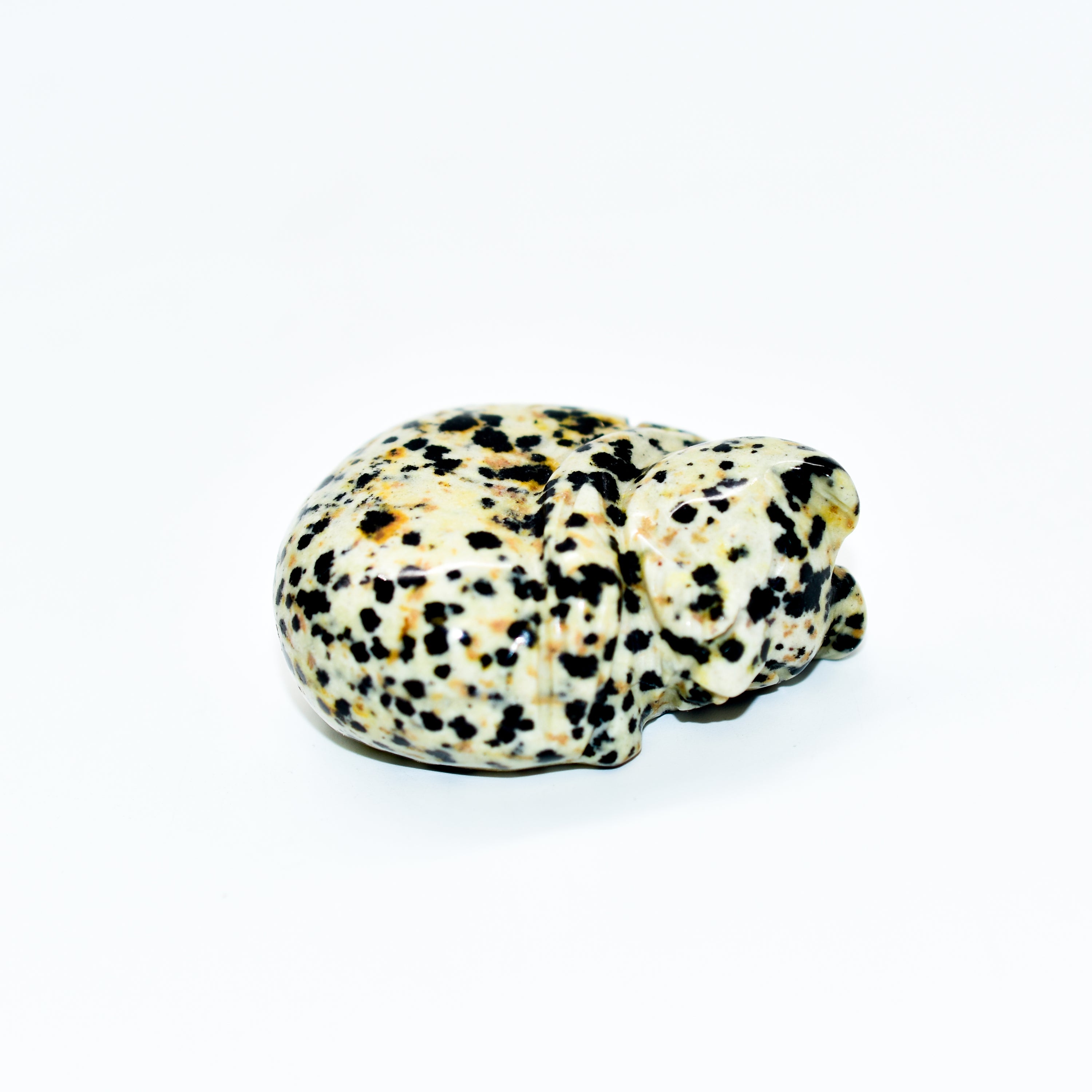 A collection of beautifully crafted cat crystal carvings in various poses, made from natural stones like Rose Quartz and Tiger's Eye.