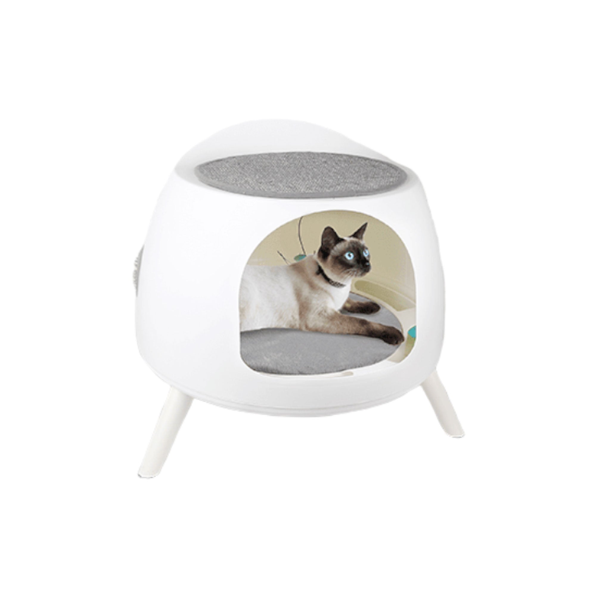 Cat Hideaway Play House featuring a reversible bed, sisal carpet, and dangling toy, designed for kittens and cats.