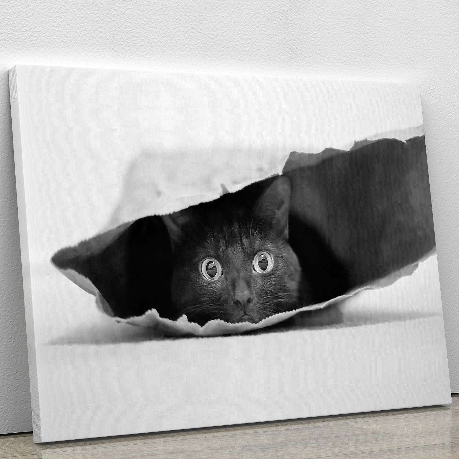 A whimsical canvas print featuring a playful cat comfortably nestled in a bag, showcasing vibrant colors and a charming design.