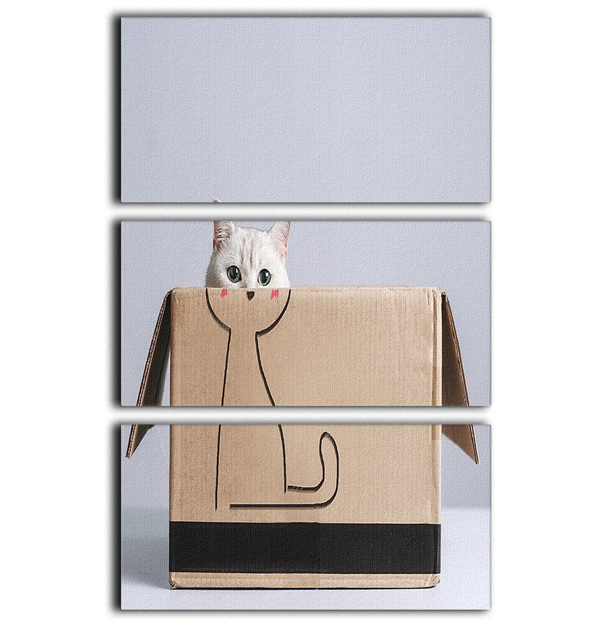A beautiful 3-panel canvas print featuring a playful cat in a box, perfect for home decor.
