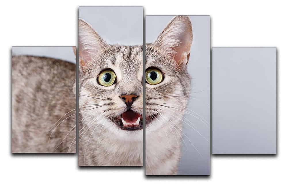 A beautiful 4-split canvas artwork featuring a gray tabby cat, showcasing its playful and charming personality.