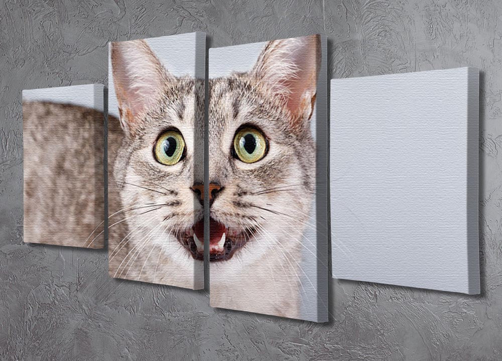 A beautiful 4-split canvas artwork featuring a gray tabby cat, showcasing its playful and charming personality.