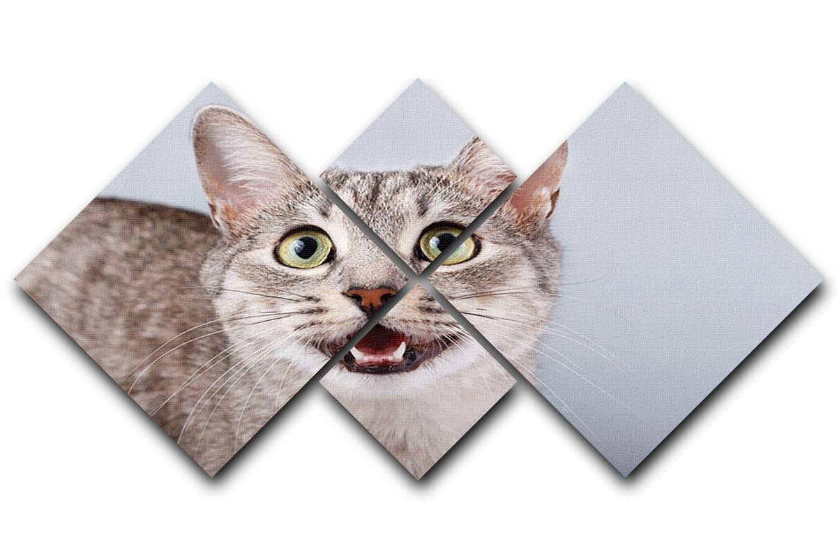 A beautiful 4-square canvas artwork featuring a gray tabby shorthair cat, divided into four equal panels.