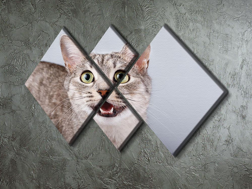 A beautiful 4-square canvas artwork featuring a gray tabby shorthair cat, divided into four equal panels.
