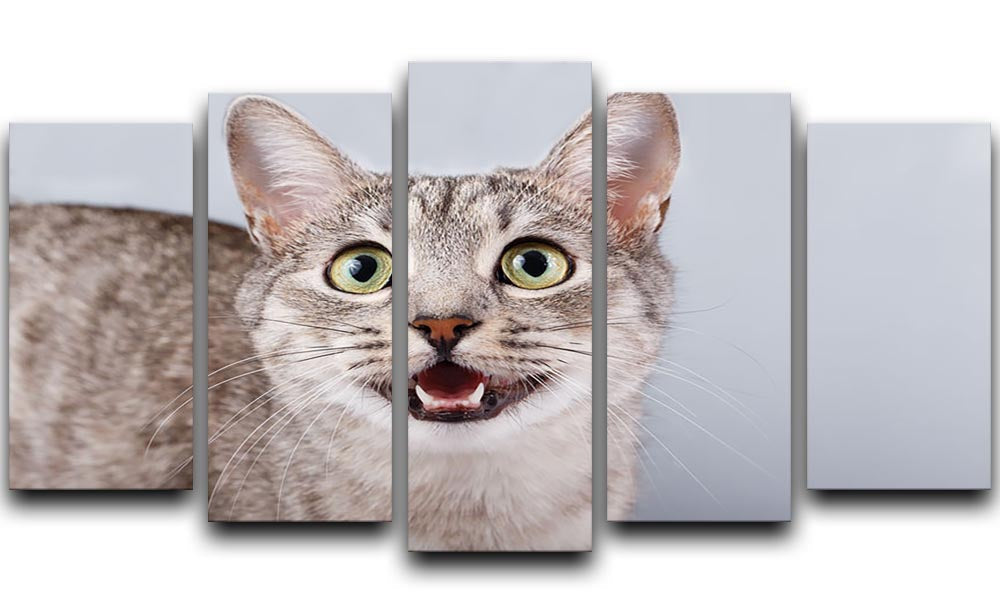 A beautiful 5-split canvas artwork featuring a playful gray tabby cat, perfect for cat lovers.