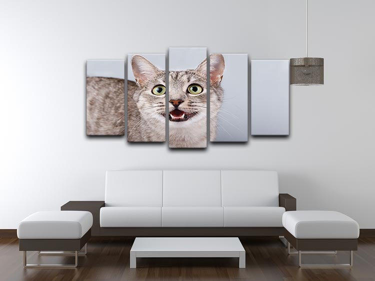 A beautiful 5-split canvas artwork featuring a playful gray tabby cat, perfect for cat lovers.