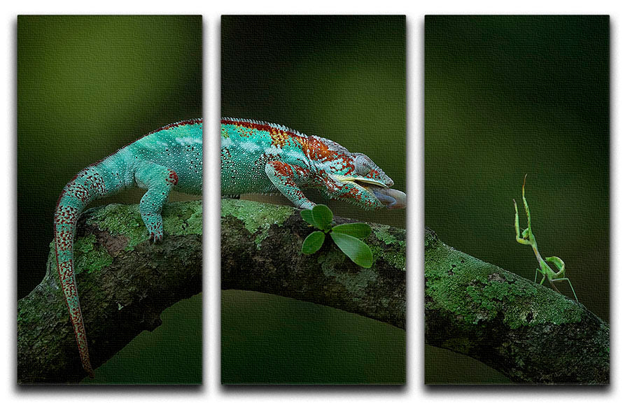 Chamelon Catching Its Prey 3 Split Panel Canvas Print showcasing vibrant colors and intricate details, perfect for home decor.