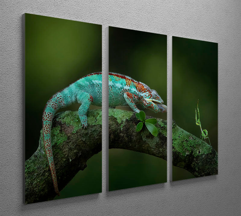 Chamelon Catching Its Prey 3 Split Panel Canvas Print showcasing vibrant colors and intricate details, perfect for home decor.