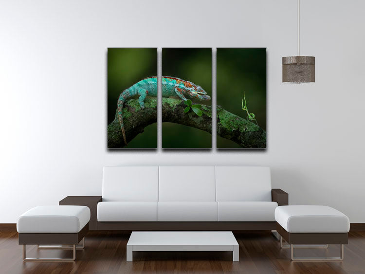Chamelon Catching Its Prey 3 Split Panel Canvas Print showcasing vibrant colors and intricate details, perfect for home decor.