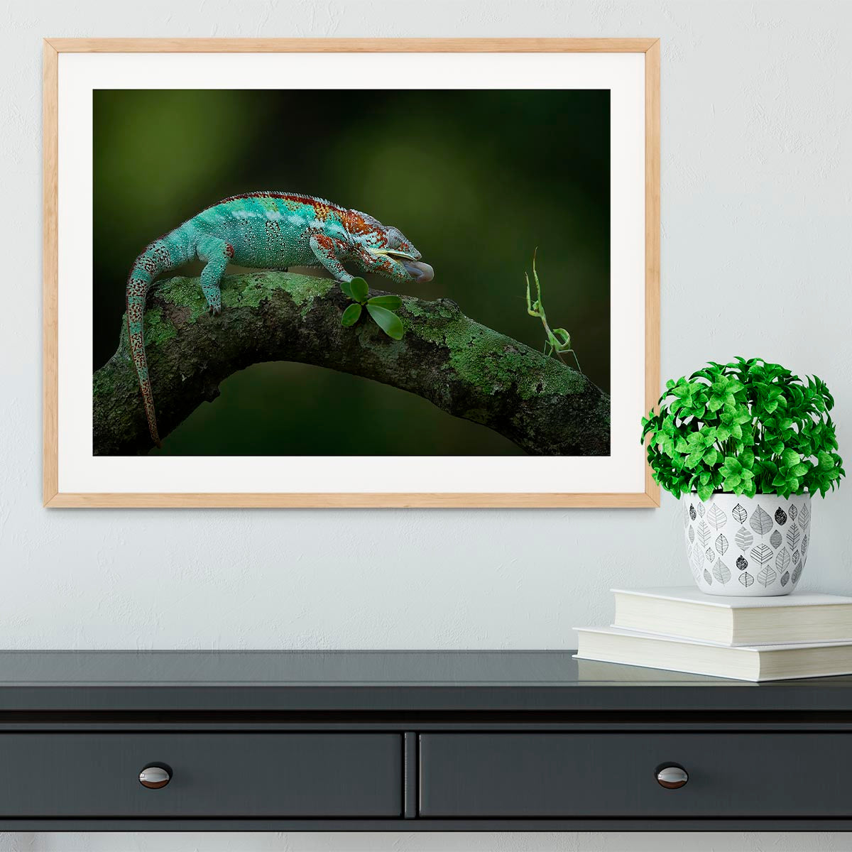 A beautifully framed print of a chameleon catching its prey, showcasing vibrant colors and intricate details.