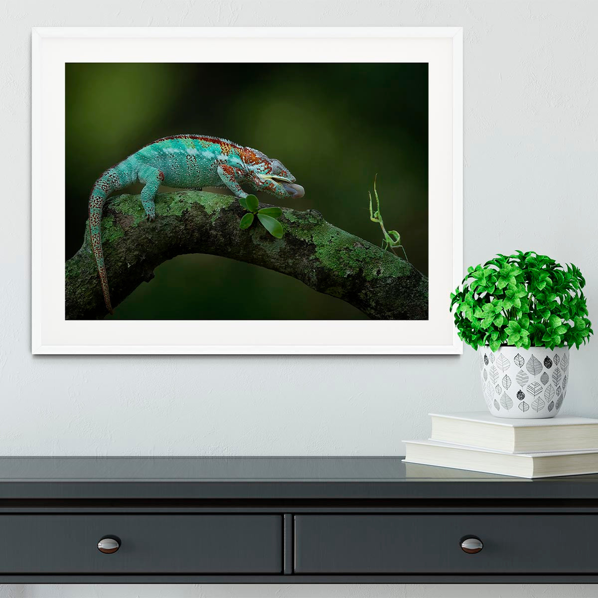 A beautifully framed print of a chameleon catching its prey, showcasing vibrant colors and intricate details.