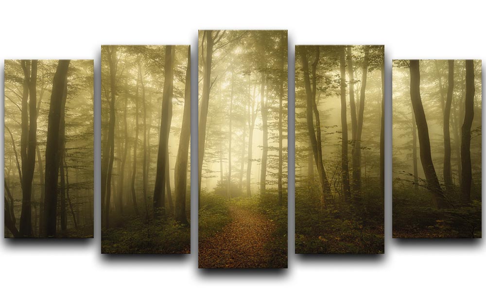 A beautiful 5-split panel canvas artwork titled 'Charm Of The Ephemeral', showcasing vibrant colors and intricate designs across five separate panels.