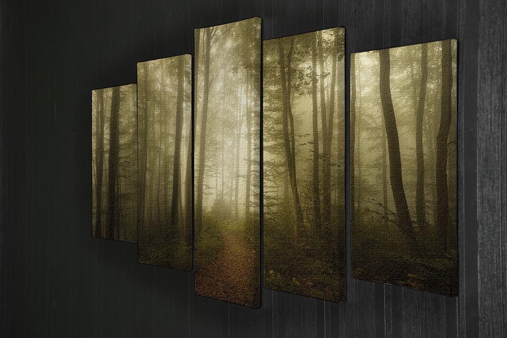 A beautiful 5-split panel canvas artwork titled 'Charm Of The Ephemeral', showcasing vibrant colors and intricate designs across five separate panels.