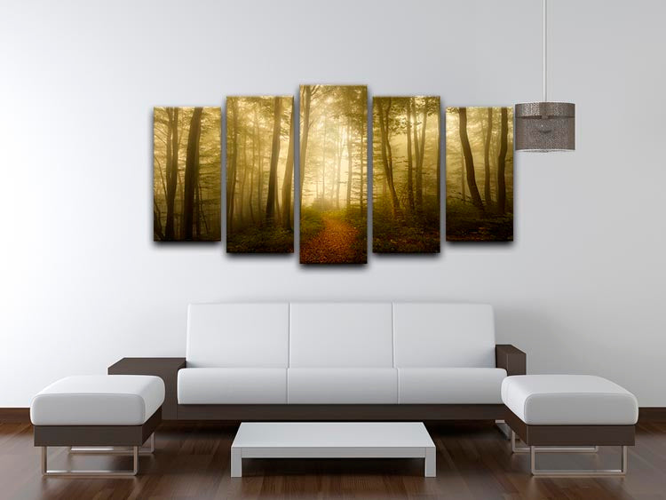 A beautiful 5-split panel canvas artwork titled 'Charm Of The Ephemeral', showcasing vibrant colors and intricate designs across five separate panels.