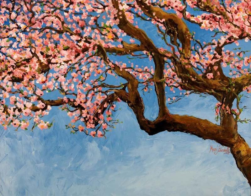 A beautiful glossy print of Cherry Tree Blossoms showcasing delicate pink flowers against a soft background.