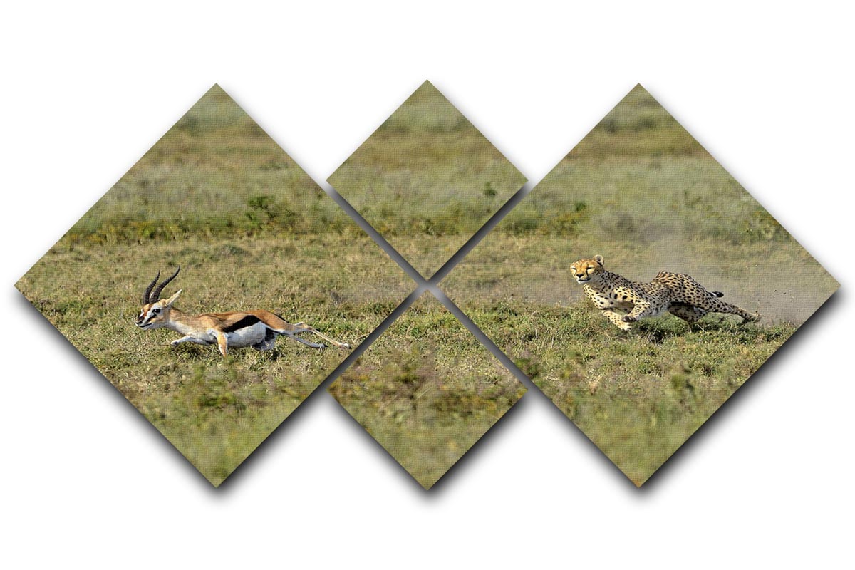 A stunning multi-panel canvas artwork depicting a cheetah in action, divided into four equal square sections, showcasing vibrant colors and dynamic movement.