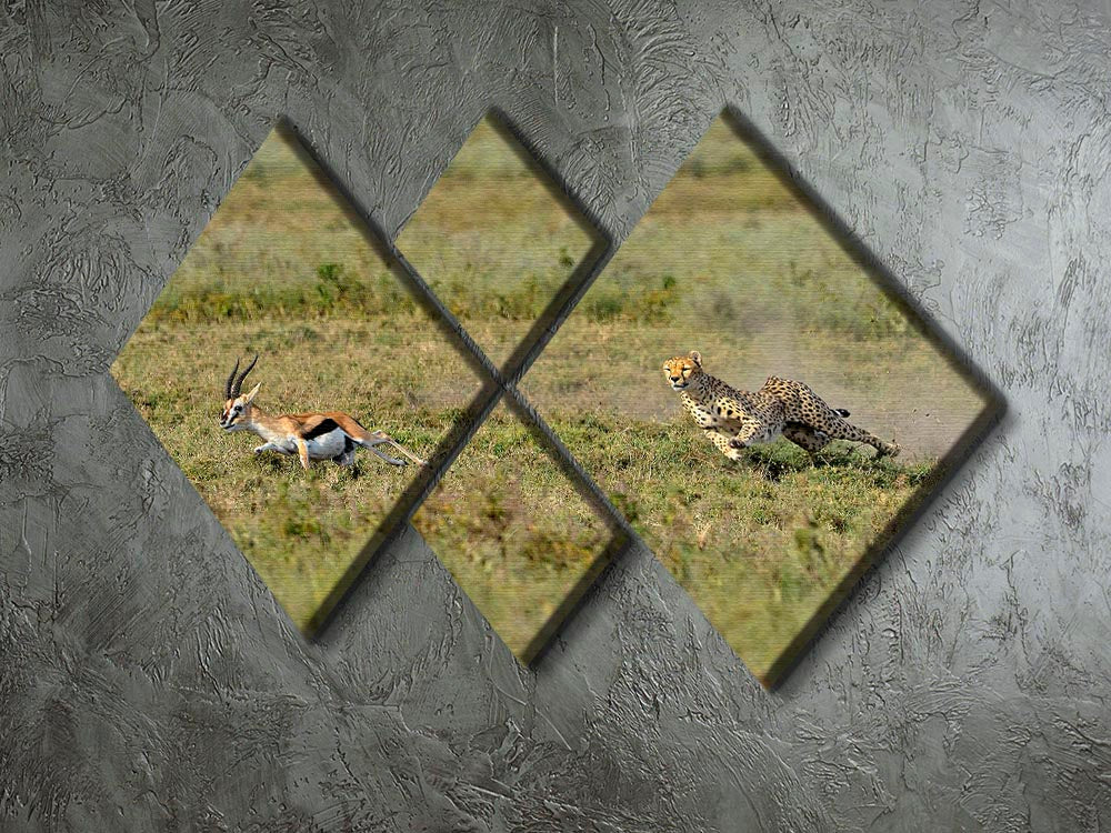 A stunning multi-panel canvas artwork depicting a cheetah in action, divided into four equal square sections, showcasing vibrant colors and dynamic movement.